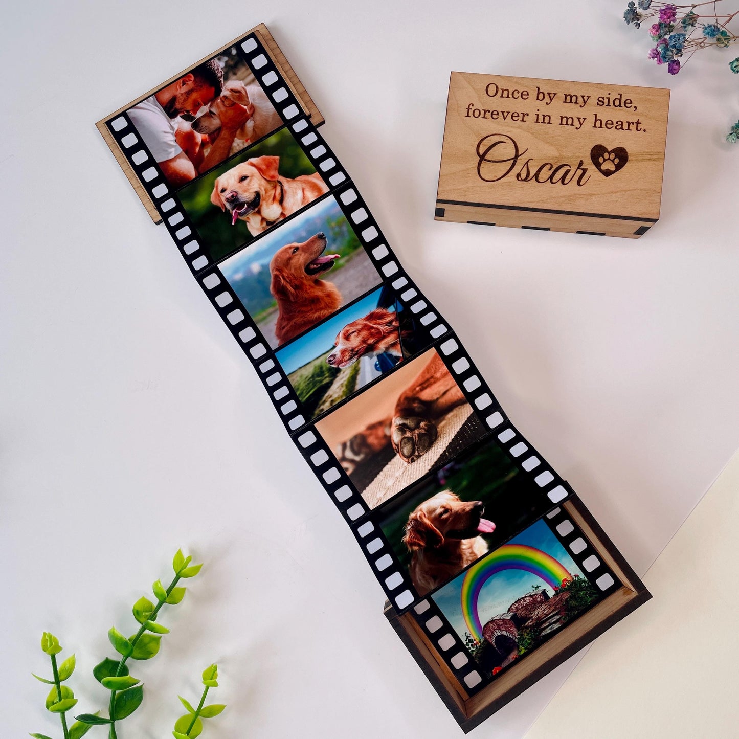 Personalised Pet Memorial, Pull Out Photo Box, Cat Dog Pet Loss, Bereavement Grief, Custom Album Box, Memory Keepsake Box, Pet Lover Gift