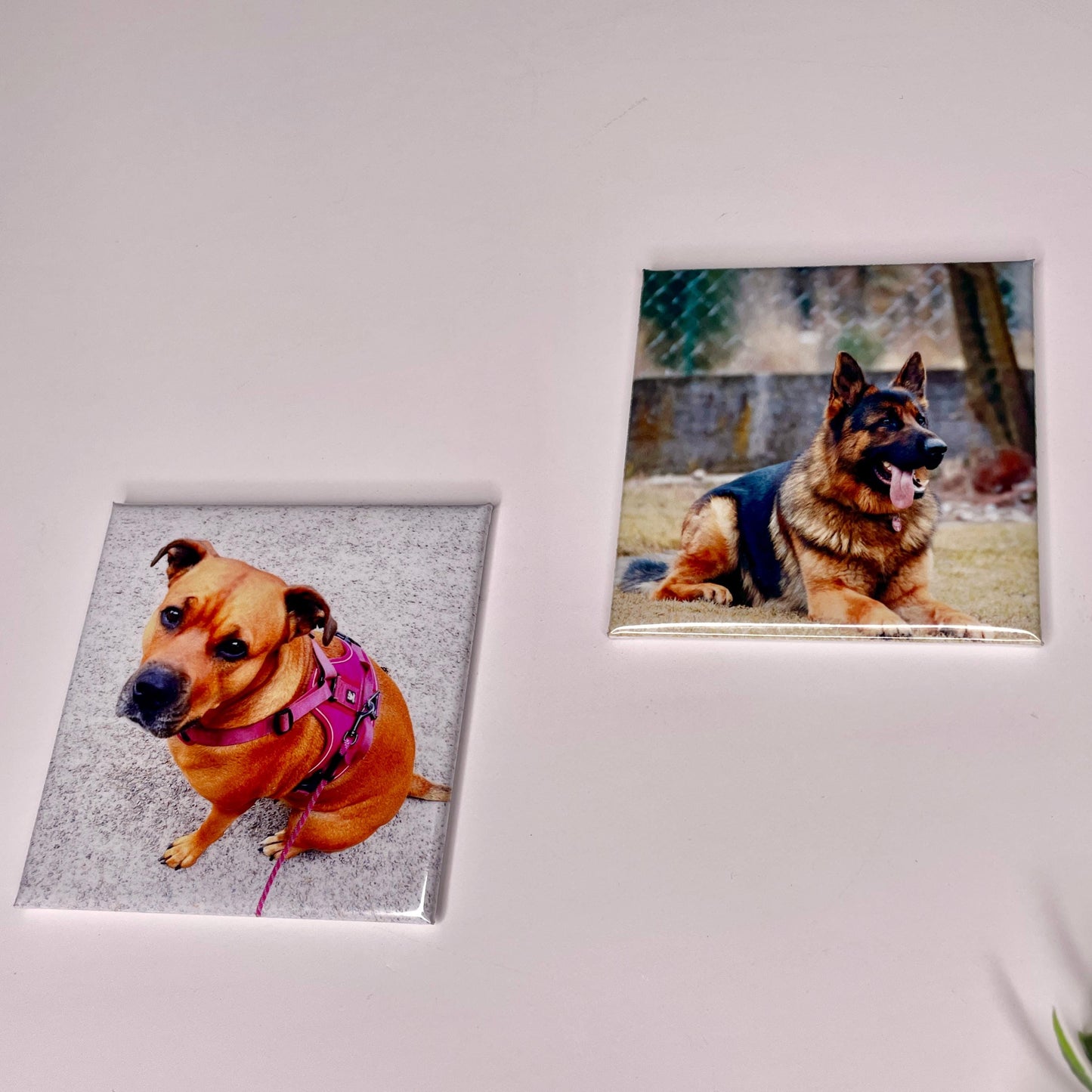 Personalised Photo Magnets | Custom Fridge Magnets Set of 6 | Wedding Favours | Anniversary Gift, Photo Christmas Gift, Custom Photo Magnets