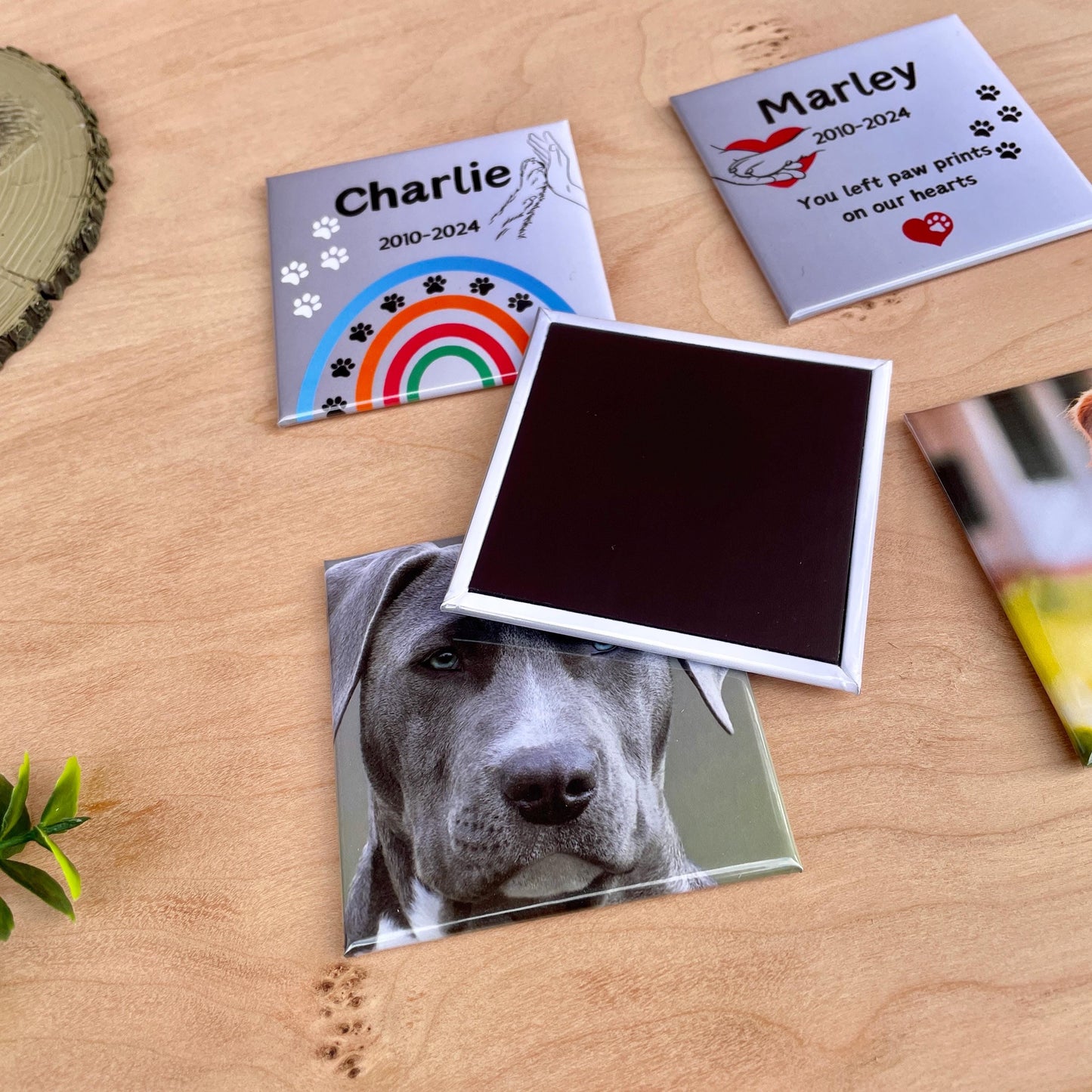 Dog Memorial Gift | Personalised Pet Loss Fridge Magnet | Photo Keepsake | Pet Bereavement Gift | Dog Loss Sympathy Gift Photo Fridge Magnet