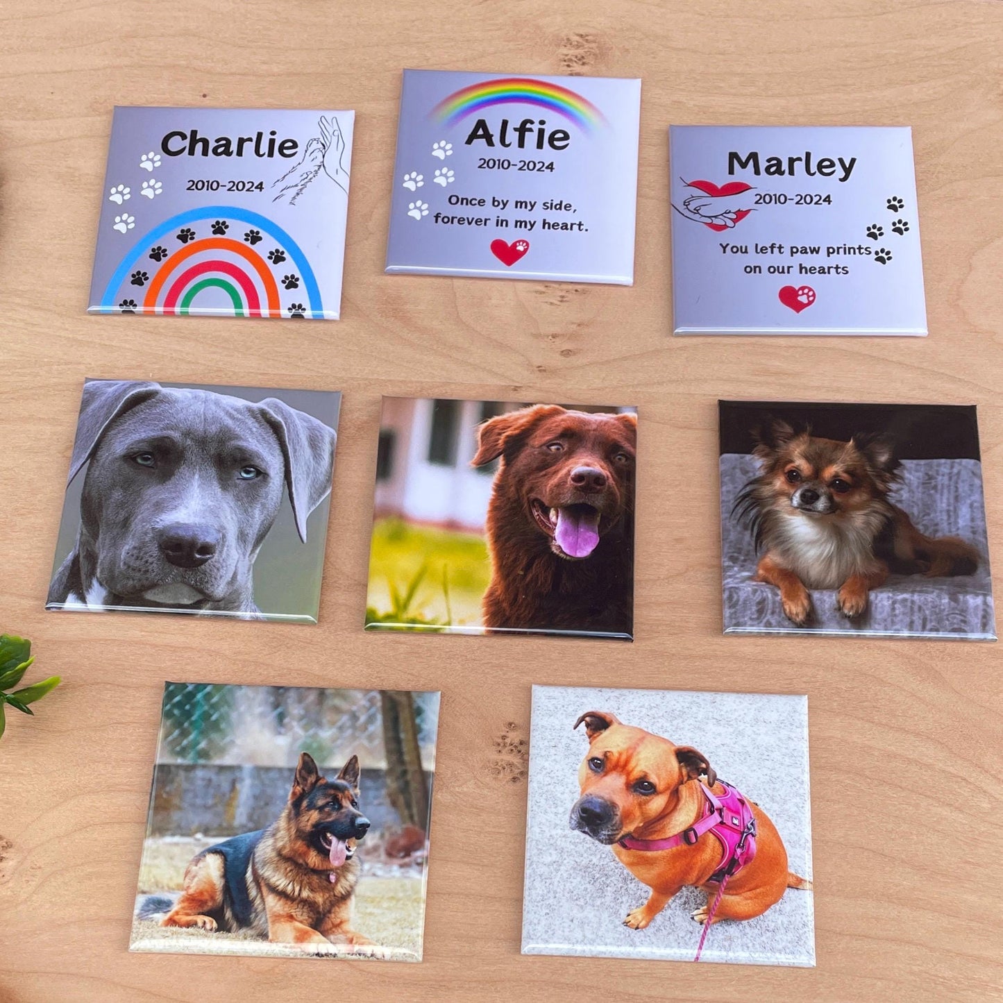 Dog Memorial Gift | Personalised Pet Loss Fridge Magnet | Photo Keepsake | Pet Bereavement Gift | Dog Loss Sympathy Gift Photo Fridge Magnet