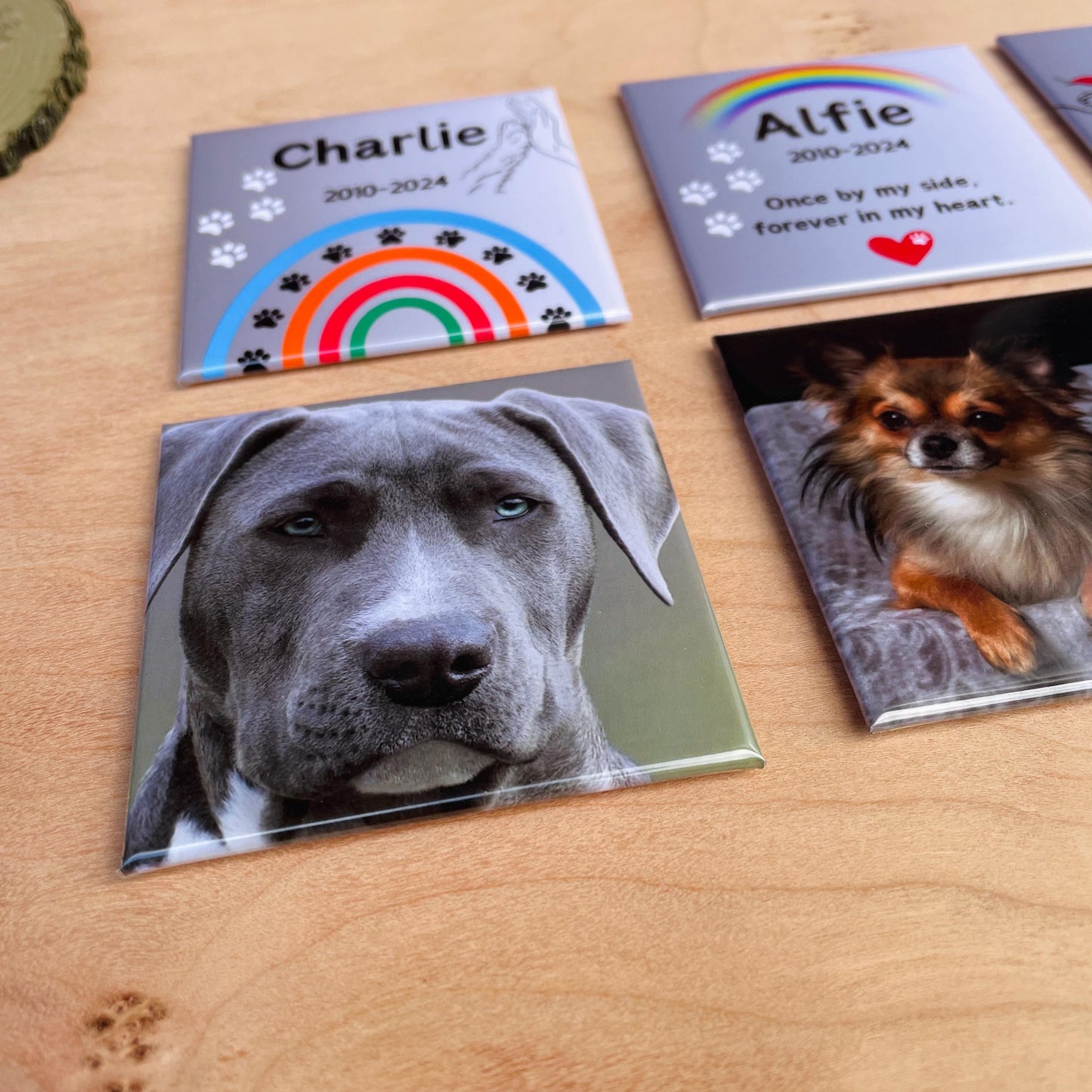 Dog Memorial Gift | Personalised Pet Loss Fridge Magnet | Photo Keepsake | Pet Bereavement Gift | Dog Loss Sympathy Gift Photo Fridge Magnet