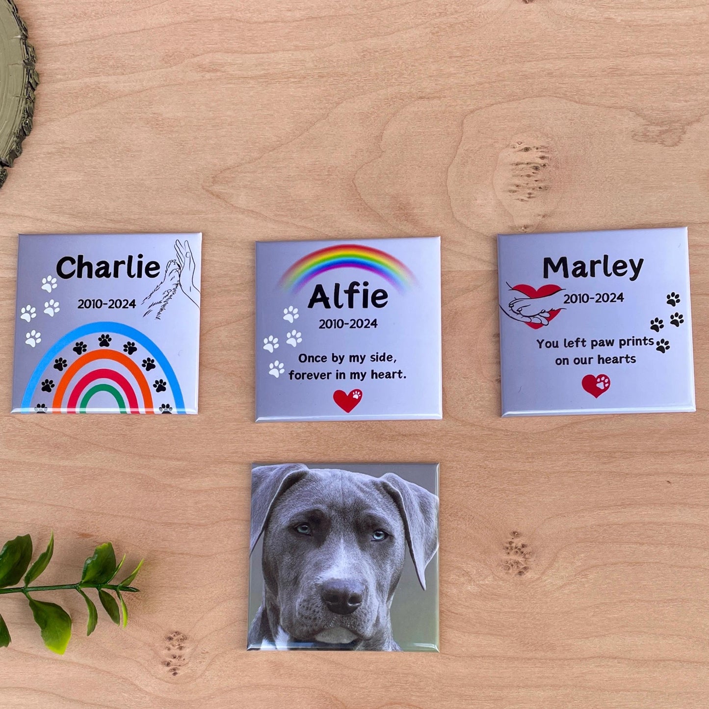 Dog Memorial Gift | Personalised Pet Loss Fridge Magnet | Photo Keepsake | Pet Bereavement Gift | Dog Loss Sympathy Gift Photo Fridge Magnet