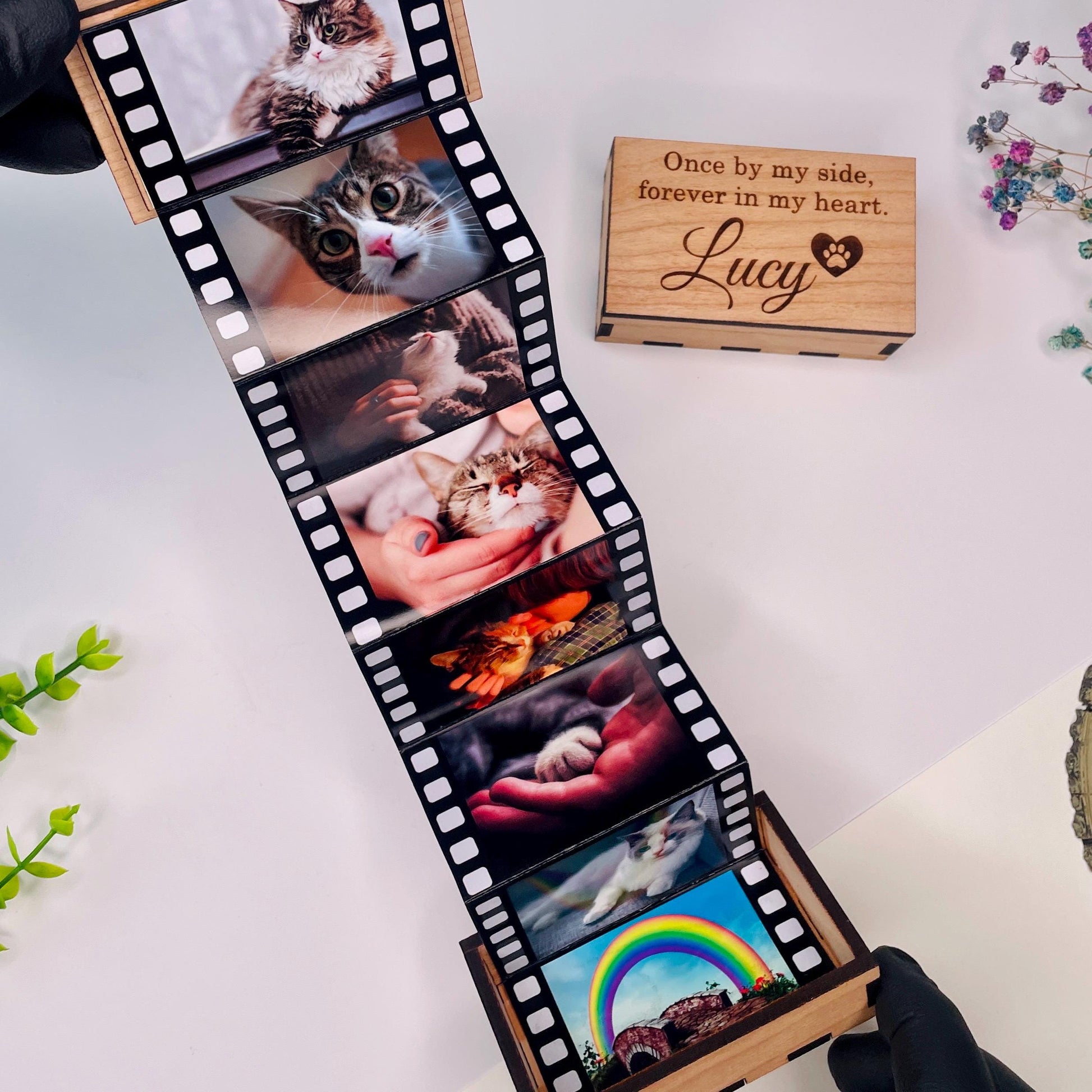 Personalised Pet Memorial, Pull Out Photo Box, Cat Dog Pet Loss, Bereavement Grief, Custom Album Box, Memory Keepsake Box, Pet Lover Gift